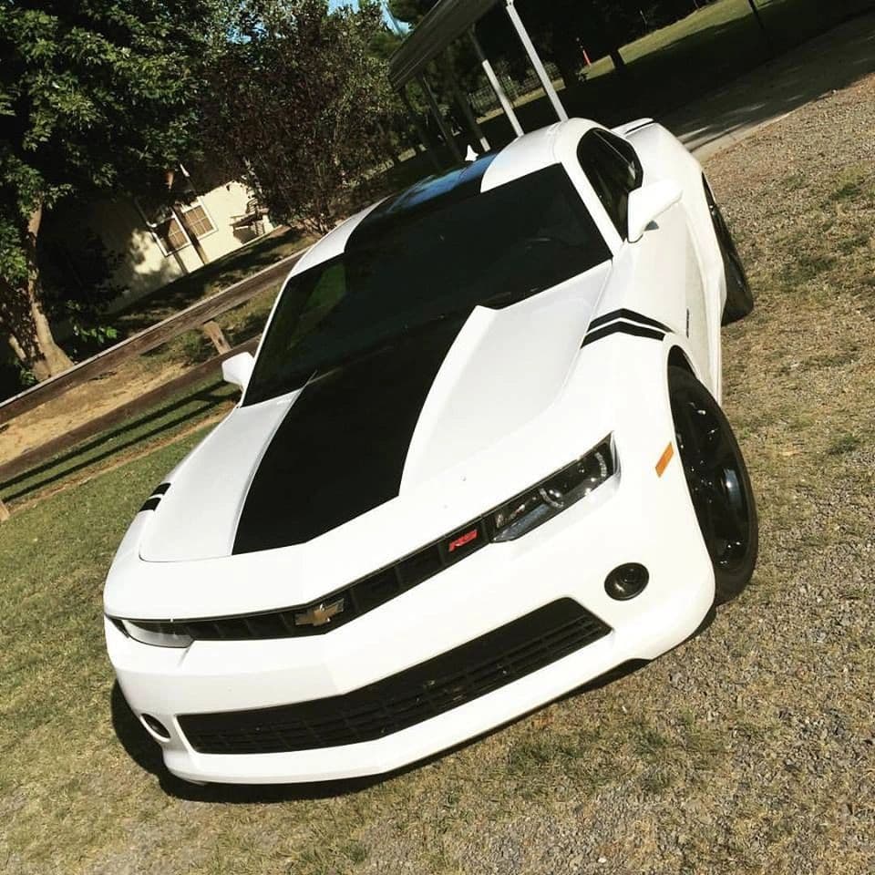 Window Tint