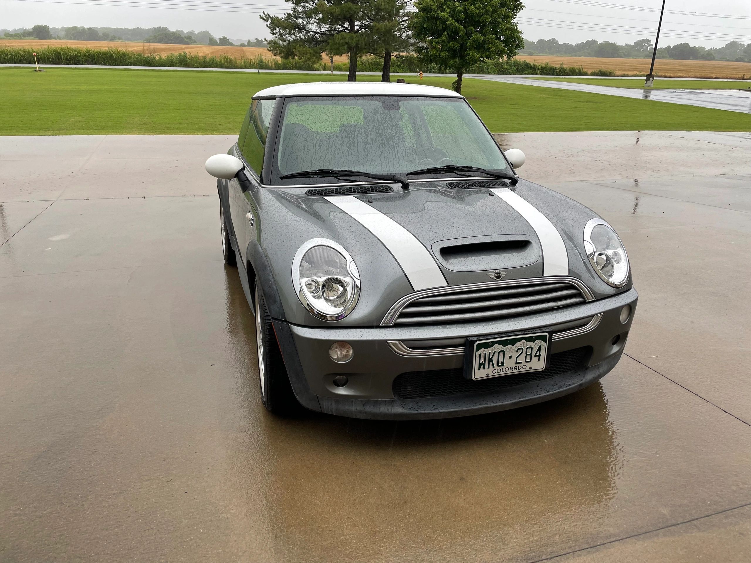 Window Tint